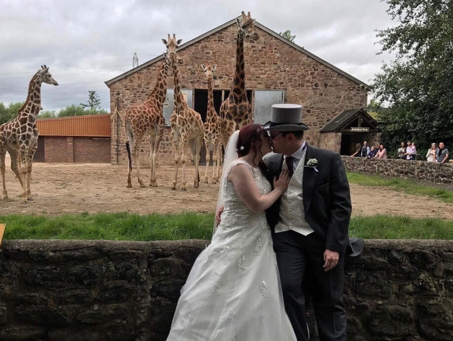 Untitled A bride and groom and their wedding at Chester zoo, planned, coordinated and styled by Alex Bell styling